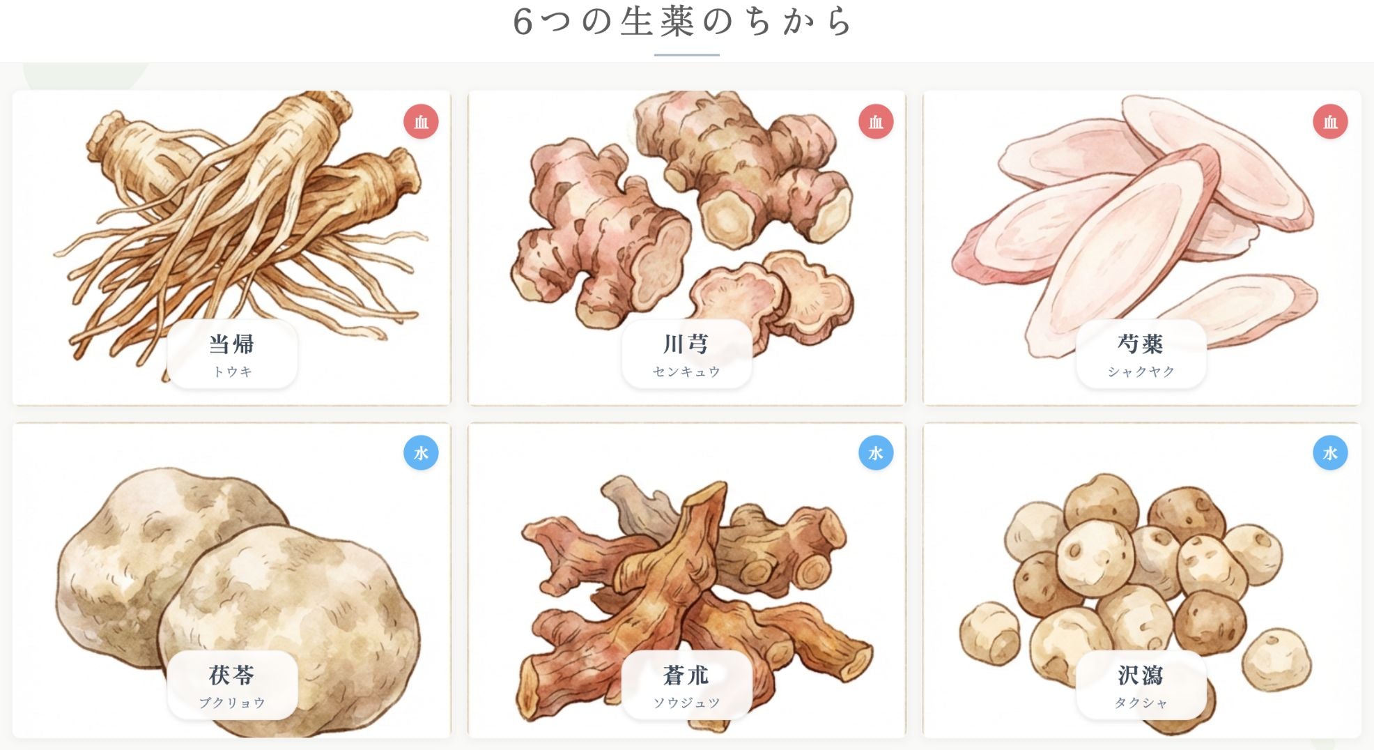冷え、むくみ、生理不順、多くの女性が経験する悩みの解決策は?