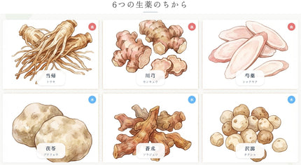 冷え、むくみ、生理不順、多くの女性が経験する悩みの解決策は?