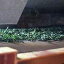 宇治茶 祇園辻利 抹茶 建都の昔 (木箱入り)