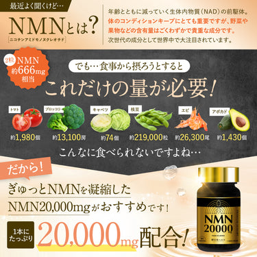 新日本ヘルス NMN 20000㎎