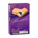 紫色のレーズンサンド菓子の箱