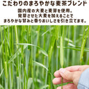 やさしいルイボスブレンド茶