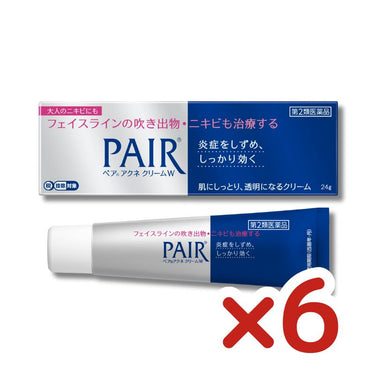 LION ペアアクネ クリームW 6セット