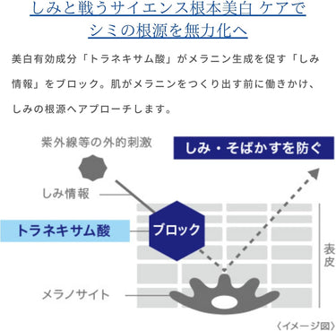 トランシーノ 薬用 メラノ シグナル エッセンス
