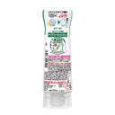 ジョイ W除菌 緑茶 290ml (逆さボトル)