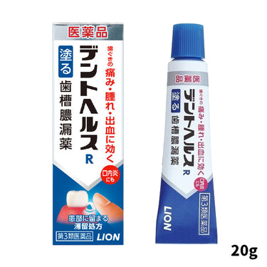 LION デントヘルスR 20g