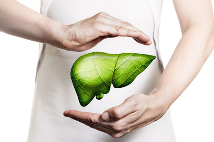 肝臓の健康を徹底解説！ゼリア新薬 ヘパリーゼGTで健やかな毎日を