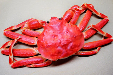 健康サポートに最適！自然由来のキトサンで脂質バランスを整え、理想の体質へ導く『日本生物化学 キトサン 菊』