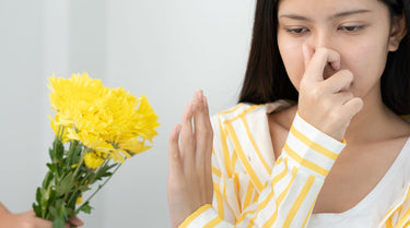 アレルビ｜花粉症・鼻水・くしゃみに 1日2回 24時間持続