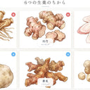 冷え、むくみ、生理不順、多くの女性が経験する悩みの解決策は？