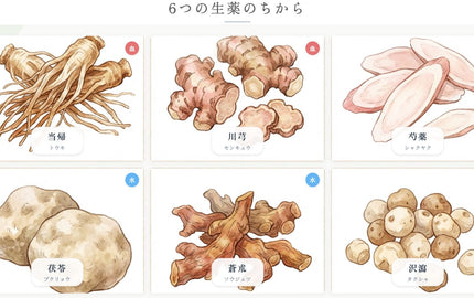 冷え、むくみ、生理不順、多くの女性が経験する悩みの解決策は？