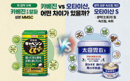 카베진 vs 오타이산, 어떤 차이가 있을까?