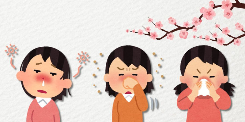 アレルギー性 鼻炎