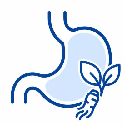 漢方胃腸薬