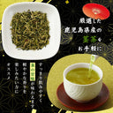 大橋製茶 薩摩 白折