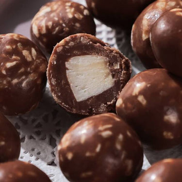 페이튼스 밀크초콜릿 토스티드 코코넛 바이트