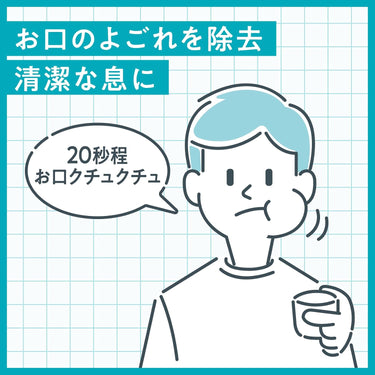 접지 제약 Damon Mousewash 380ml