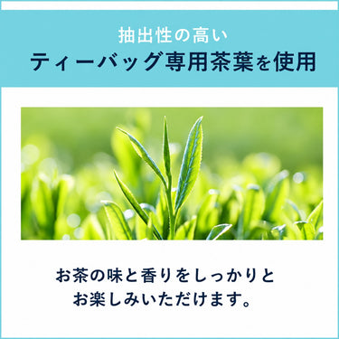 お～いお茶 エコティーバッグ ほうじ茶