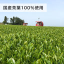 茶畑に並ぶ赤い茶摘み機