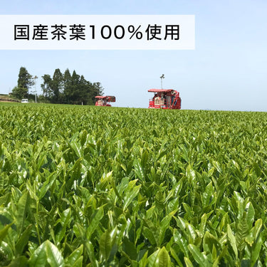 茶畑に並ぶ赤い茶摘み機