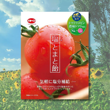 加藤製菓 塩とまと飴