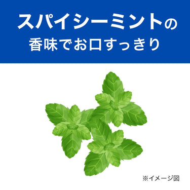 薬用 メディカ つぶつぶ塩