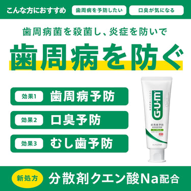 GUM 덴탈페이스트