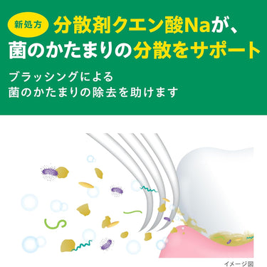 ガム・デンタルペースト ソルティミント