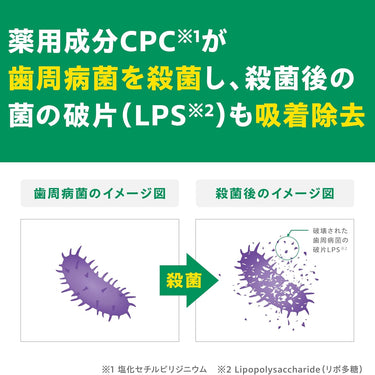 ガム・デンタルペースト ソルティミント