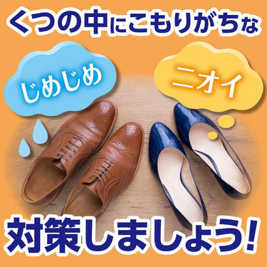 ノンスメルドライ くつ用