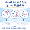 つらい痛みに向き合う2つの鎮痛成分