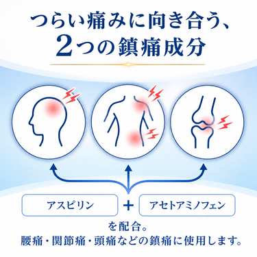 つらい痛みに向き合う2つの鎮痛成分