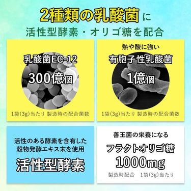 유산균+효소 보리새싹