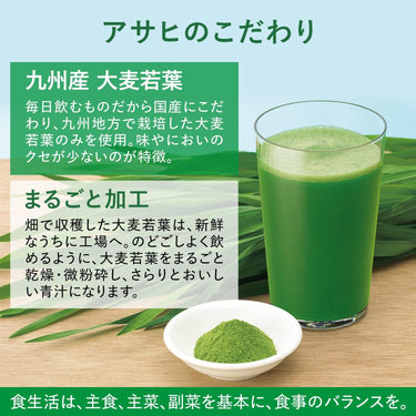 유산균+효소 보리새싹