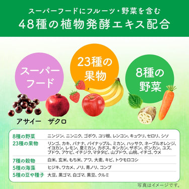 과일 효소 녹즙