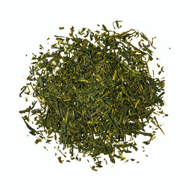 みどり園 福岡県銘茶 八女茶