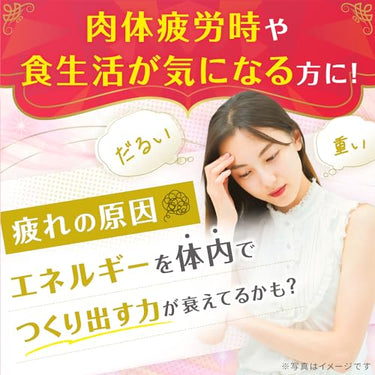 초콜라 BB 로얄T