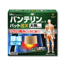 興和 バンテリンコーワ パットEX 大判 14枚入