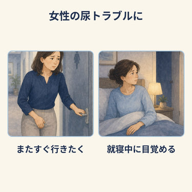 レディガード コーワ