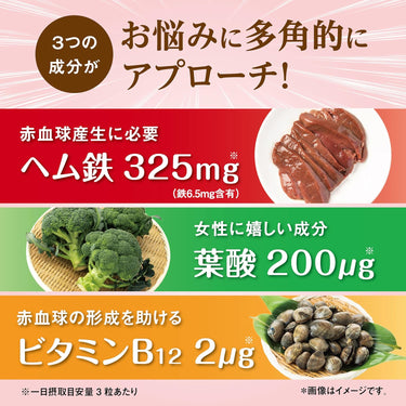 ヘム鉄 葉酸 ビタミンB12