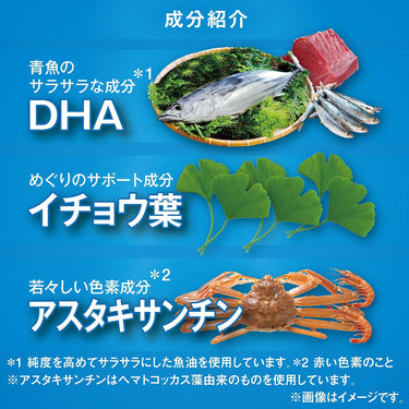 DHA イチョウ葉 アスタキサンチン