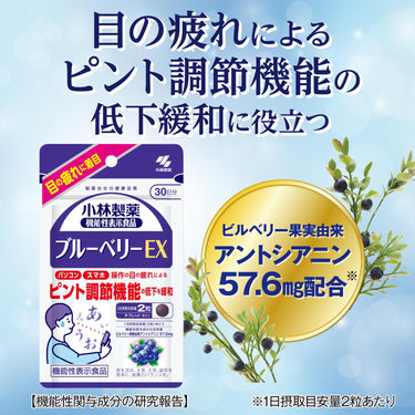 블루베리 EX