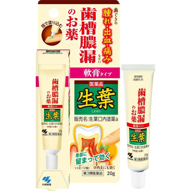 生葉 口内塗薬