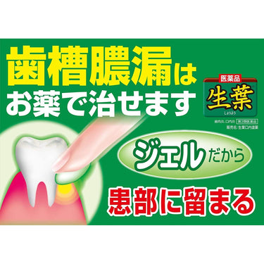 生葉 口内塗薬