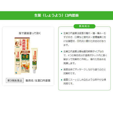 生葉 口内塗薬