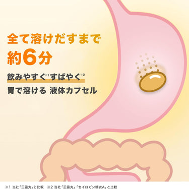 정로환 퀵 C