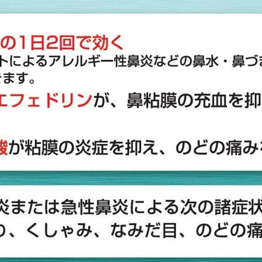 벤자 비염약 α
