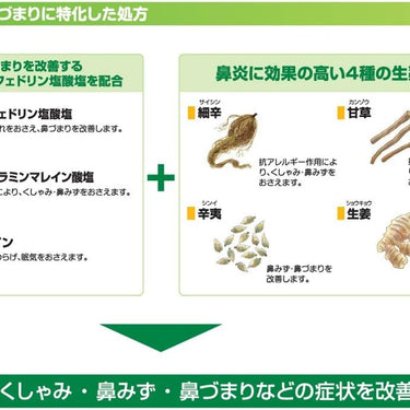 아네톤 아르메디 비염정