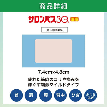 サロンパス30 ホット