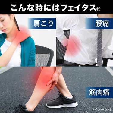 フェイタス シップ 冷感